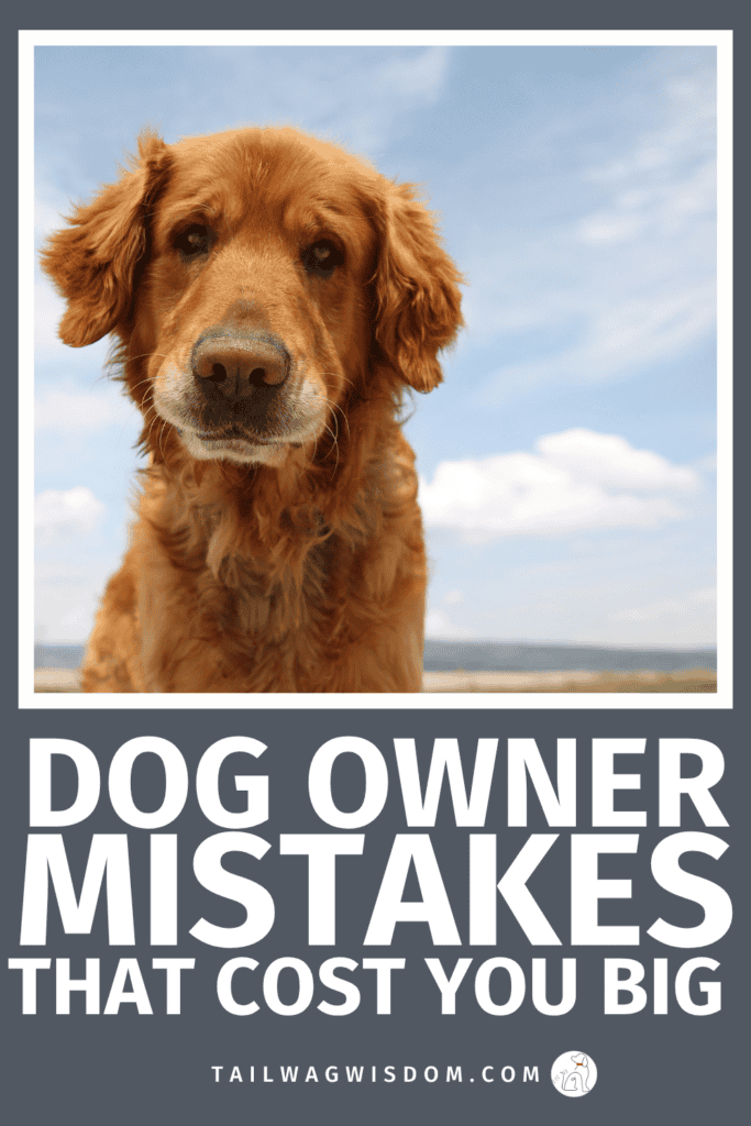 dog owner mistakes, pet care tips, dog care tips, new dog owner tips, affordable pet care
Most dog owners make these mistakes without realizing it, until it gets expensive. Learn what to avoid! For more great dog tips, visit tailwagwisdom.com 