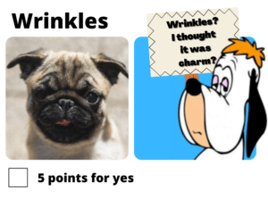 Droopy Dog wrinkles