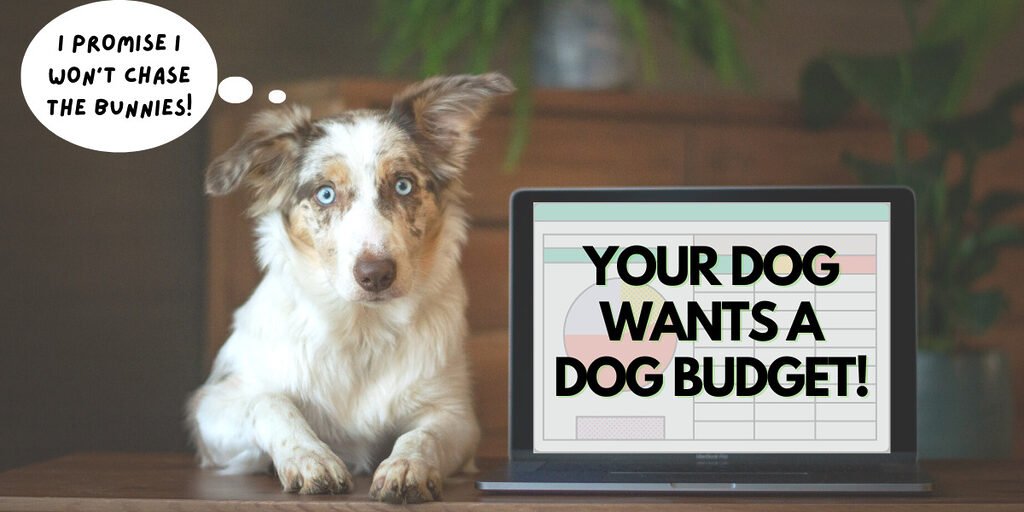 pup is excited to have his pet parents build a dog budget
