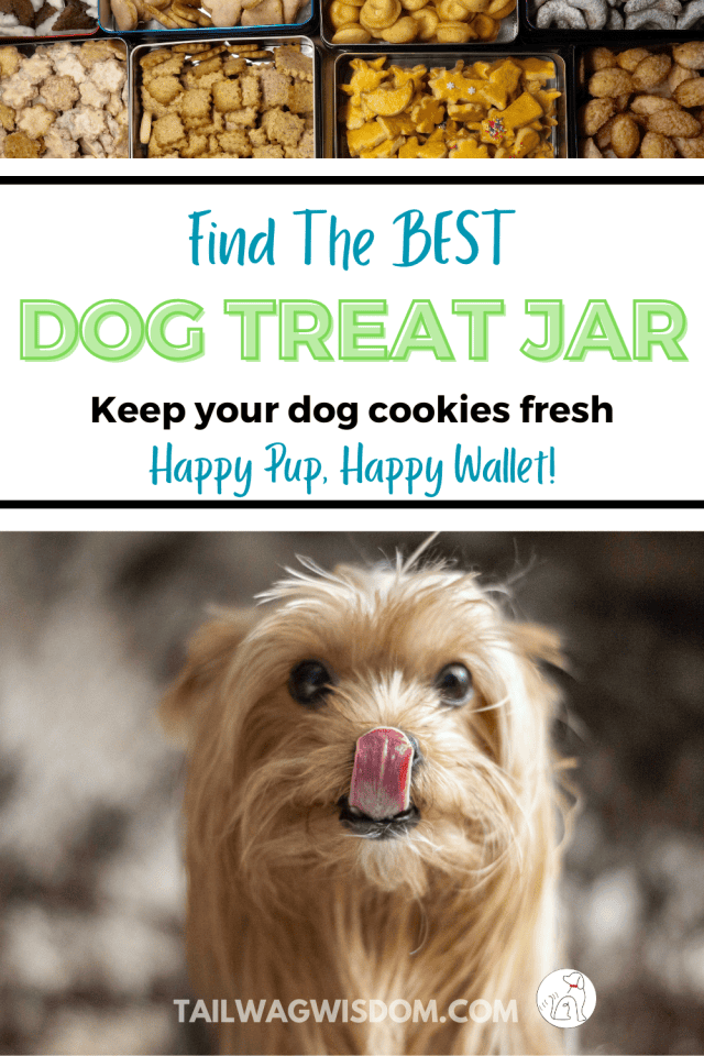 A yorkie is anxious to get a cookie from a great dog treat jar.