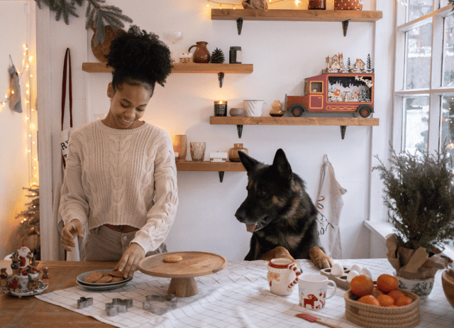 a cute pup supervises the display of homemade treats from a great dog treat jar