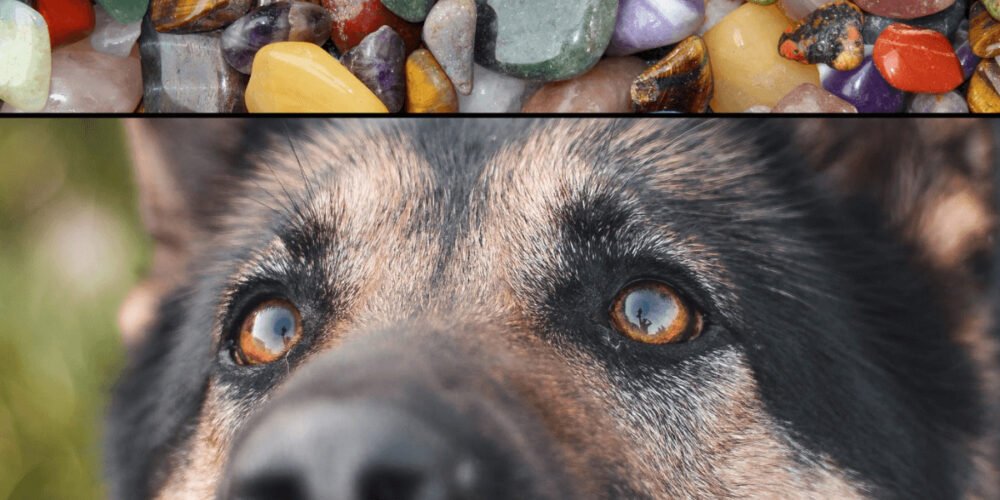 healing crystals for pups