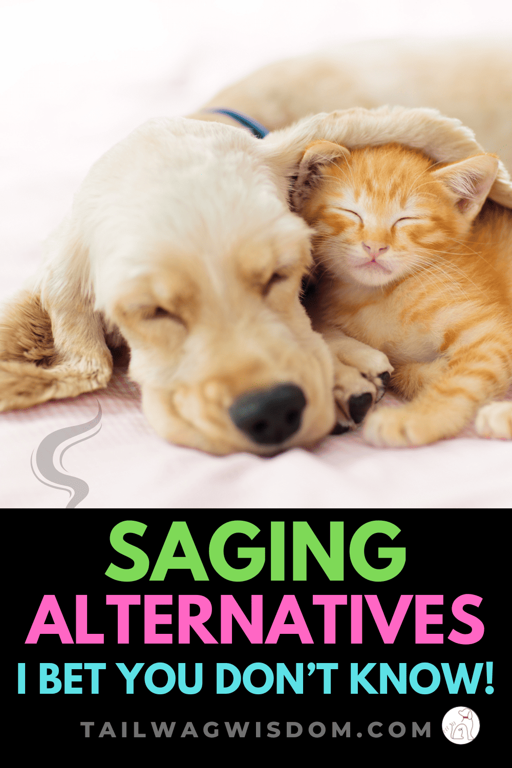 Discover an alternative to sage smudging 