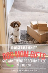 dog lovers gifts