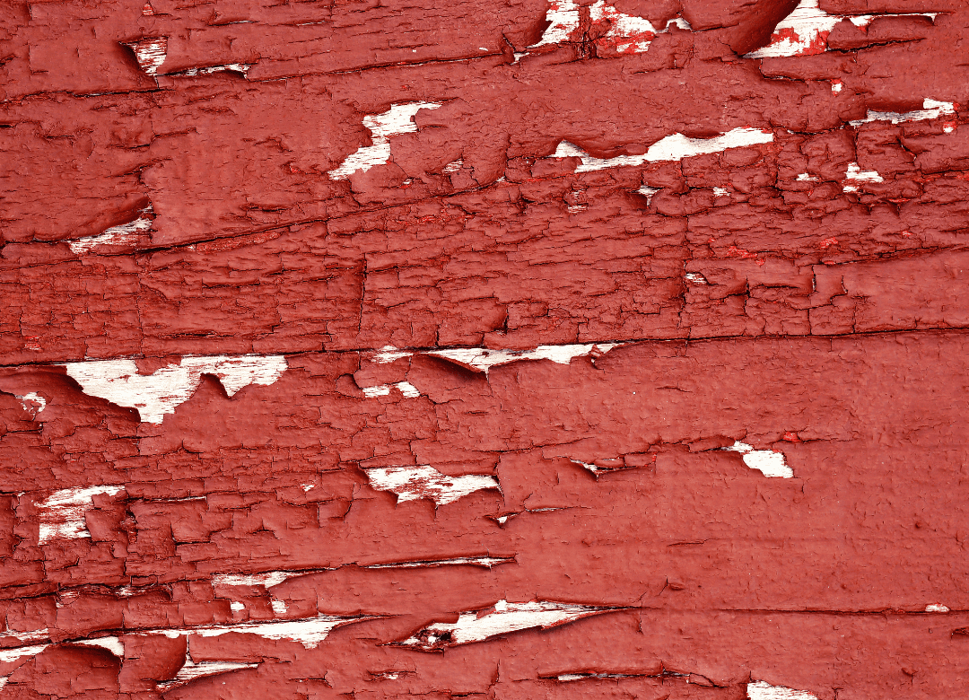 chipping paint in a yard can be hazardous in a safe dog yard