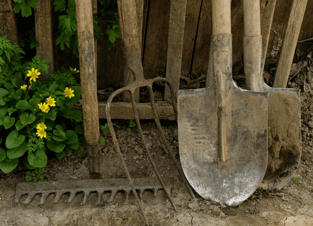 sharp yard tools stored safely away from dogs makes for a safe dog yard