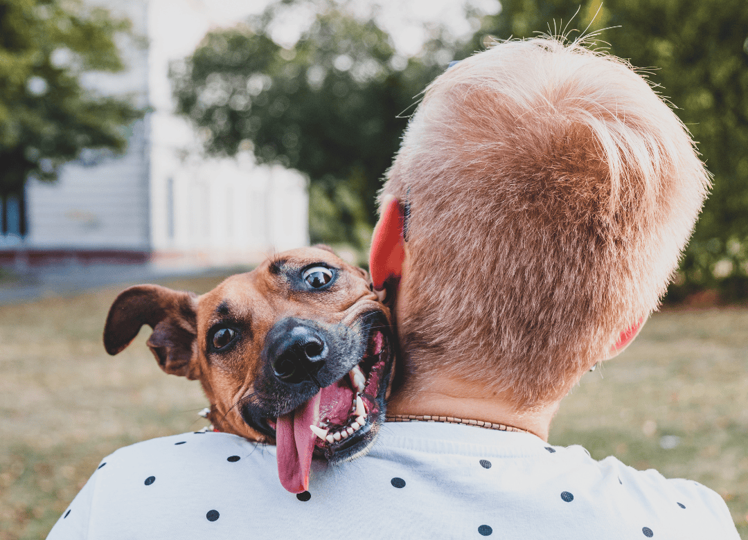 A pup is overjoyed with a hug as part of a dog Valentine's Day celebration.