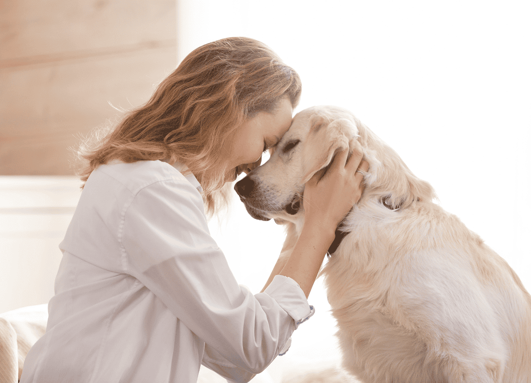 A woman massages her canine as part of a dog Happy Valentine's Day celebration.
