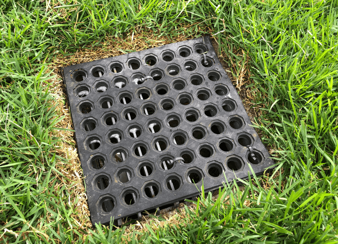 storm drains can entice a curious pup even in a safe dog yard