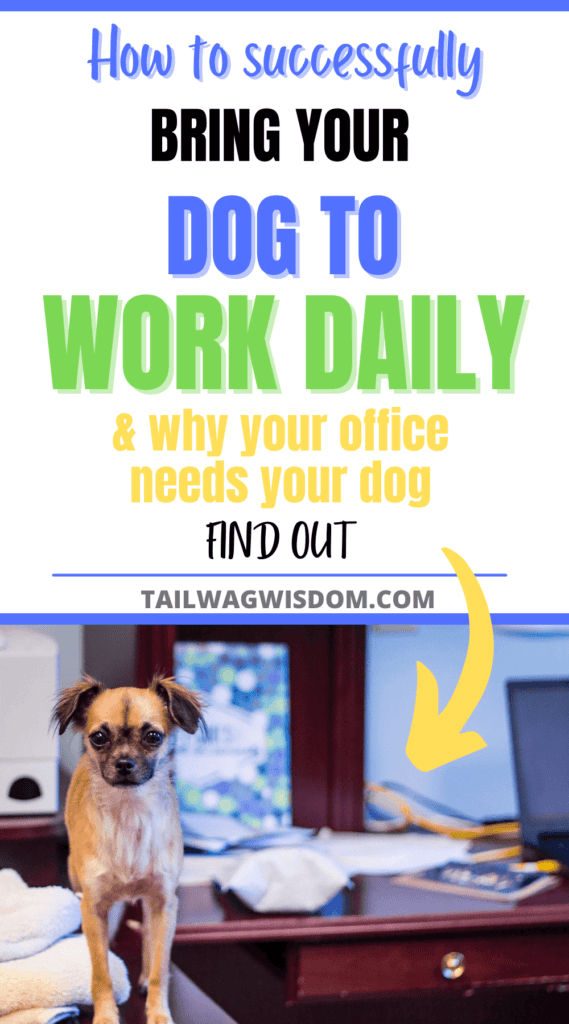 Tips To Bring Your Dog To Work Daily Tail Wag Wisdom