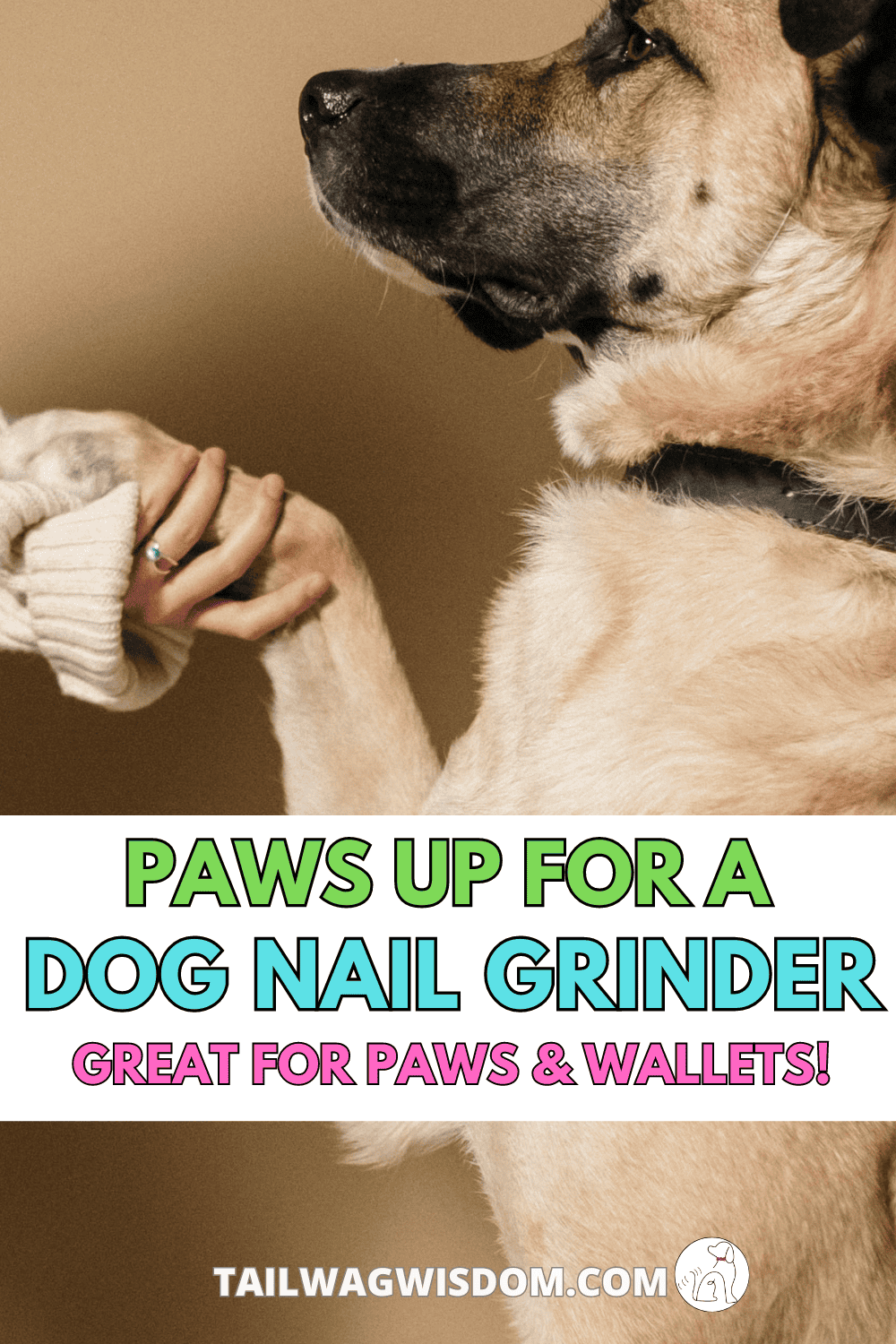 learn how a dog nail grinder can improve your dogs paws and save money