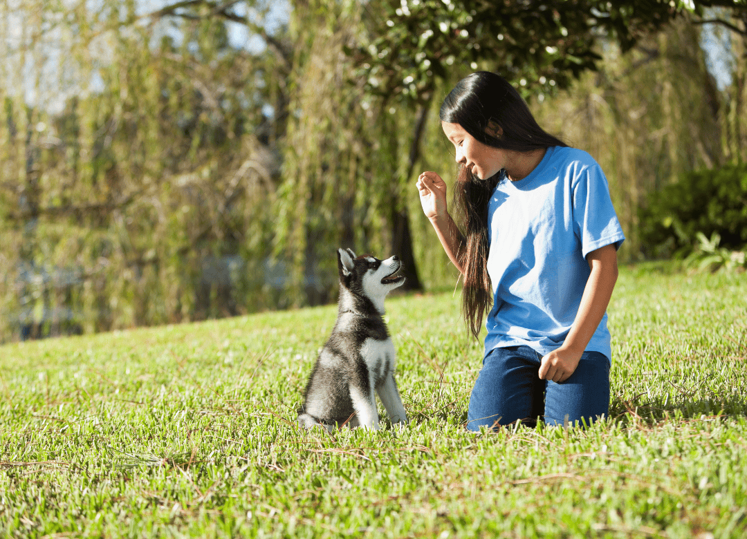 correcting lapse behaviors is a great way to prepare your dog for spring
