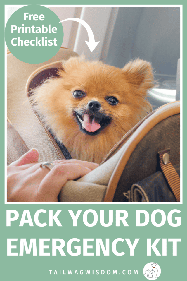 People love saving checklist-style content on Pinterest, especially for preparedness topics. If your pin graphic includes a small callout like "Free Printable Checklist", it could significantly increase saves and clicks since checklists are one of the most popular content formats on the platform. Get more great dog tips at tailwagwisdom.com