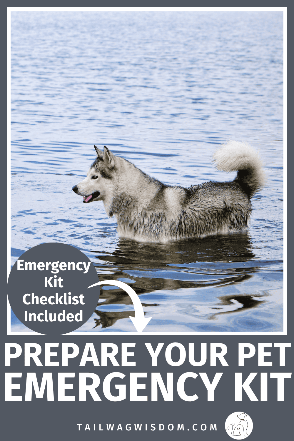Don't wait until disaster strikes. Create a dog emergency kit with this easy checklist featuring dog health tips, emergency pet care, and smart dog hacks to keep your pup safe. Get more dog care tips at tailwagwisdom.com