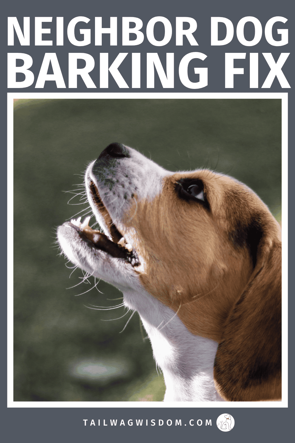Neighbor dog barking driving you crazy? Learn how to stop a neighbor dog barking, calm noisy dogs, and handle barking issues without conflict. Dog behavior tips, pet care tips. For more great dog tips, visit tailwagwisdom.com