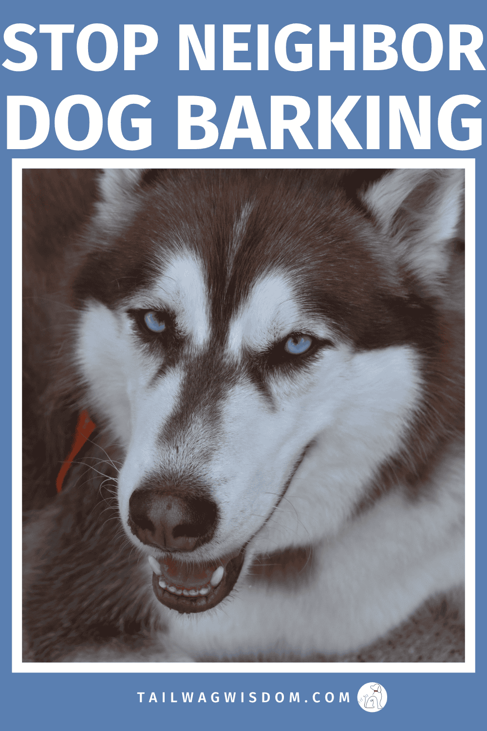 Tired of nonstop barking? Discover how to stop neighbor dog barking fast with calm, effective solutions that actually work. Dog care tips, pet care, barking dog solutions. For more dog tips go to tailwagwisdom.com