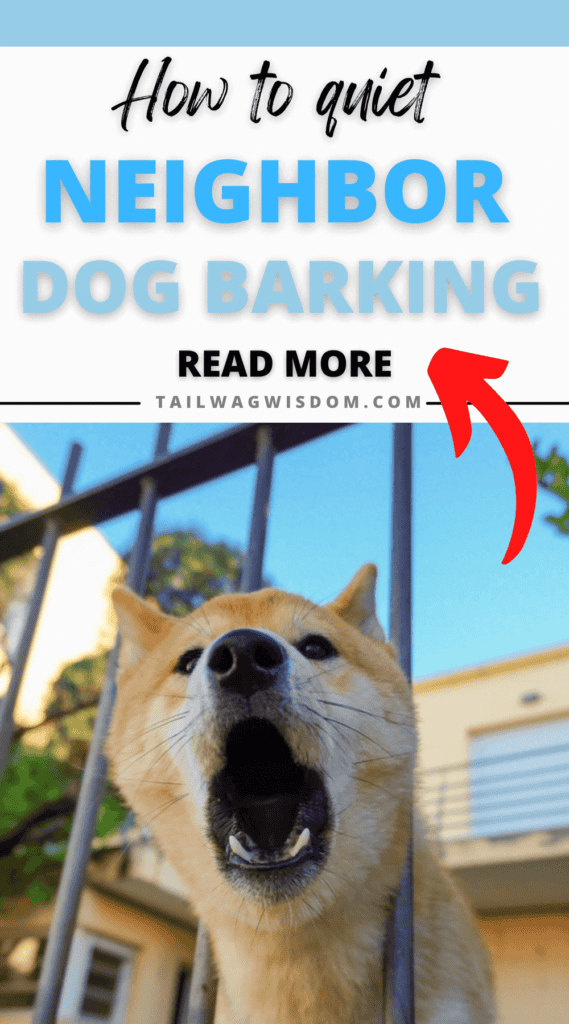 Practical Ways To Stop Your Neighbor Dog From Barking Constantly Tail