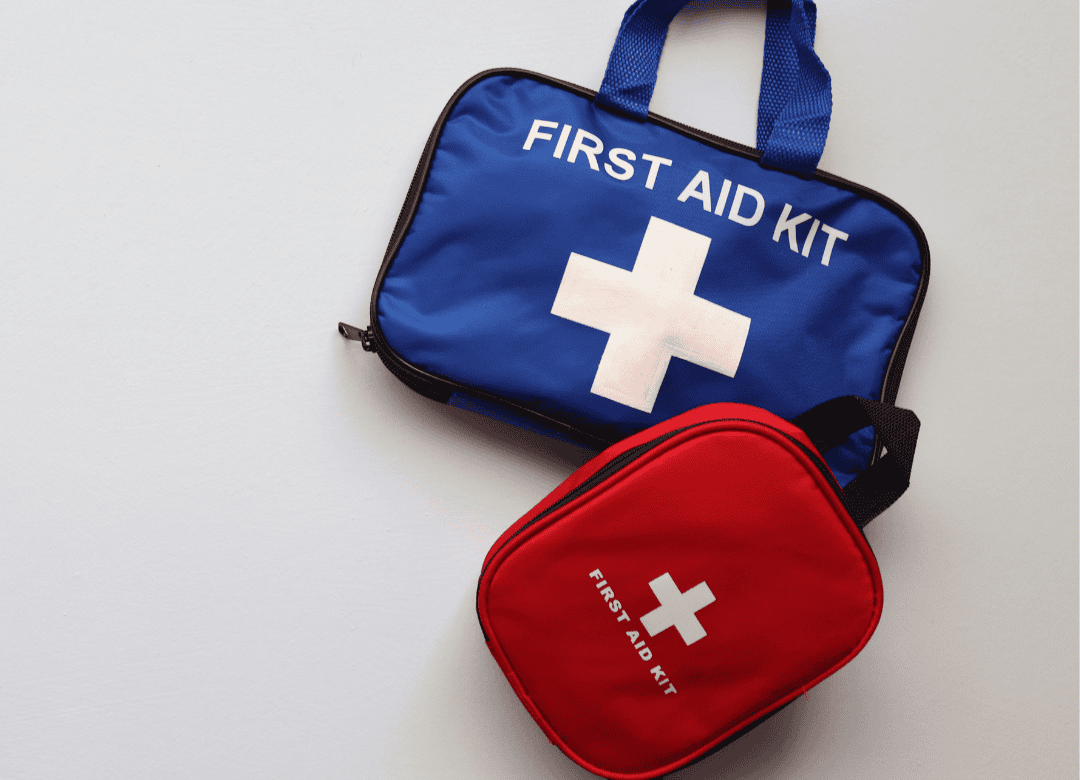 Discover why a pet first aid is critical to include in your dog emergency kit
