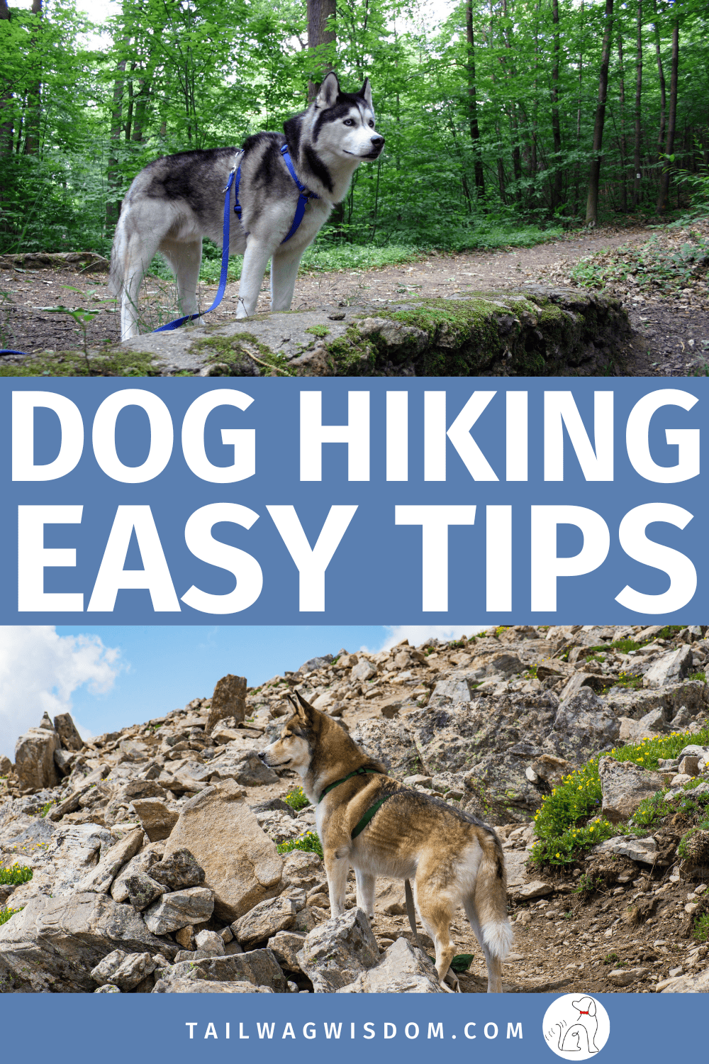 Learn how to enjoy dog hiking trails without aches and pains. Includes tips for hiking with small dogs, choosing the right dog hiking gear, and planning safe dog-friendly hiking adventures. Visit tailwagwisdom.com for more dog tips.