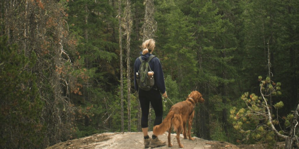 woman with golden retriever on a woodland hike