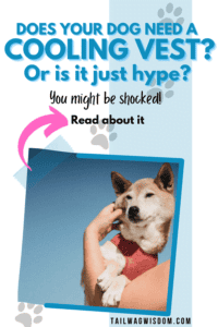 cooling vests for dogs do they work