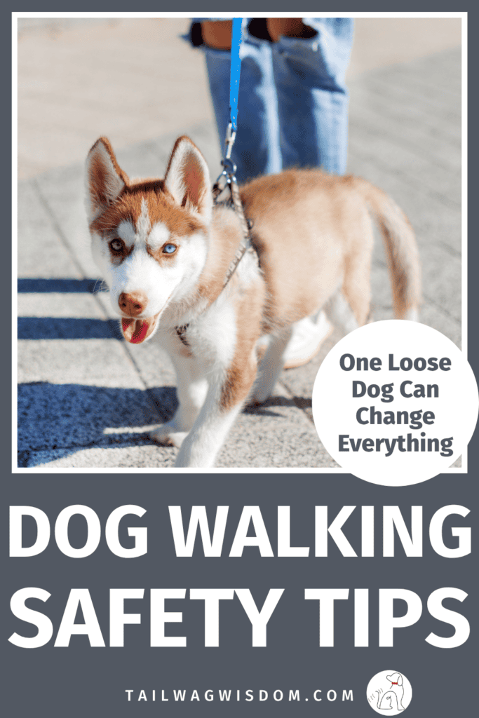 Be prepared before an encounter happens. Discover how to handle off-leash dogs with proven dog hacks, essential dog care tips, and confidence-building advice every dog mom should know. Find more dog care tips at tailwagwisdom.com