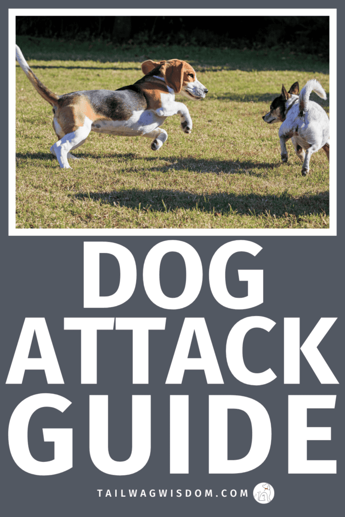 Learn what to do during dog attacks, how to protect your pup, and ways to recover expensive vet costs using smart dog safety tips, dog care tips, and practical pet care strategies. For more great dog tips, visit tailwagwisdom.com