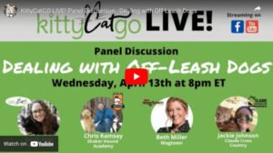 kittycatgo podcast discussion how to deal with off-leash dogs