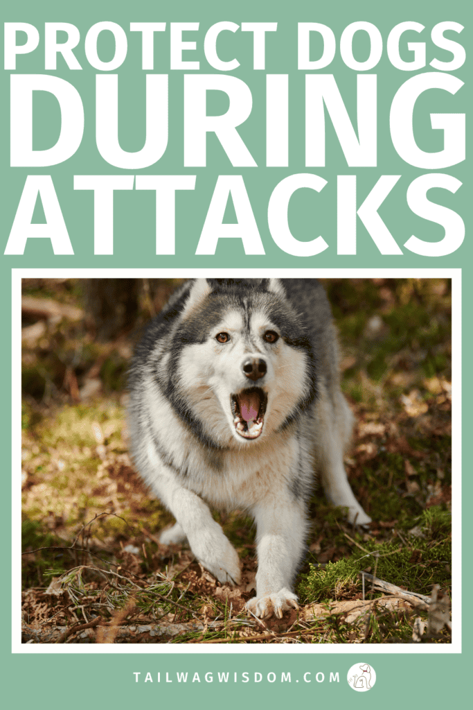 Be prepared before a dog attack happens. Discover essential dog safety advice, emergency dog training tips, and smart steps every dog mom and dog lover should know. For more great dog care tips, visit tailwagwisdom.com