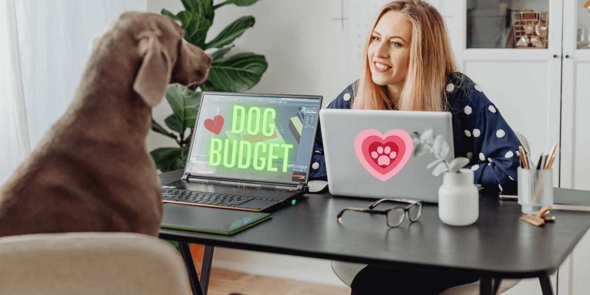 woman looks lovingly at dog over computers as they work on dog budget happy to cut dog expenses