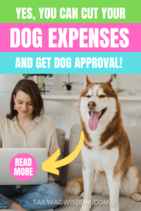 woman works on computer while husky smiles in approval happy to cut dog expenses