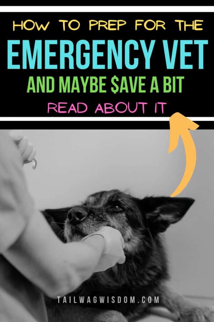 Easy Dog Emergency Vet Visits Tips Tail Wag Wisdom