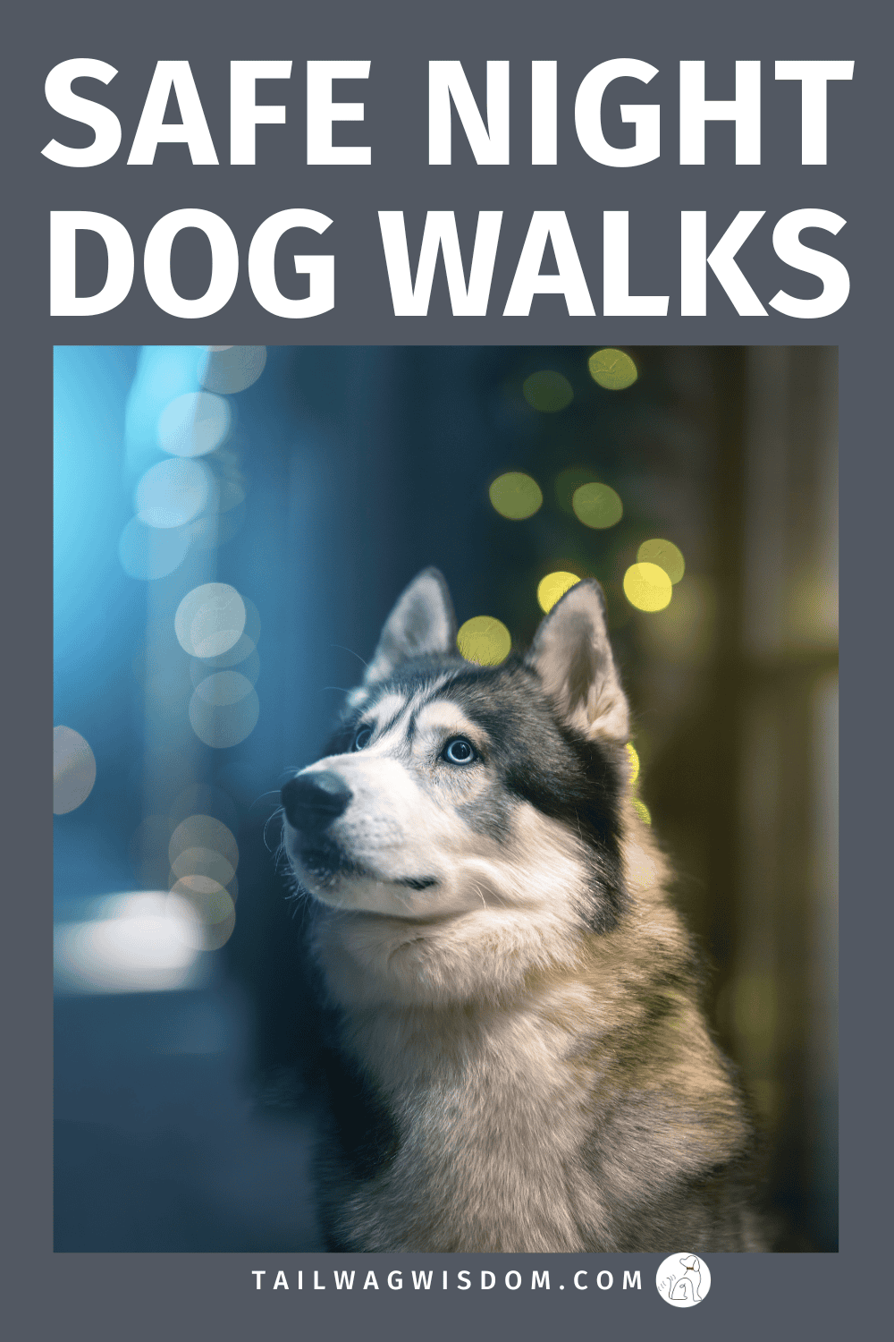 Keep your pup safe on every late night dog walk! These dog safety tips cover reflective gear, safe routes, and seasonal care. Perfect dog fall safety and dog winter safety guide for every pet parent. Get more dog care tips at tailwagwisdom.com