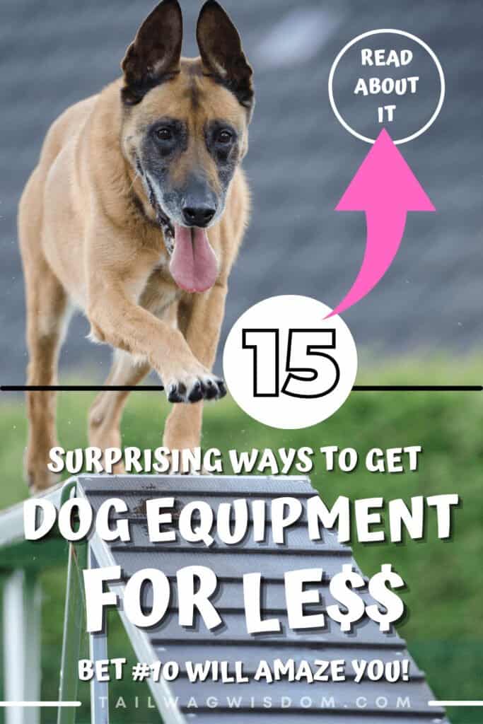 Dear Fido, Here Are The Secrets To Finding Dog Equipment For Less ...