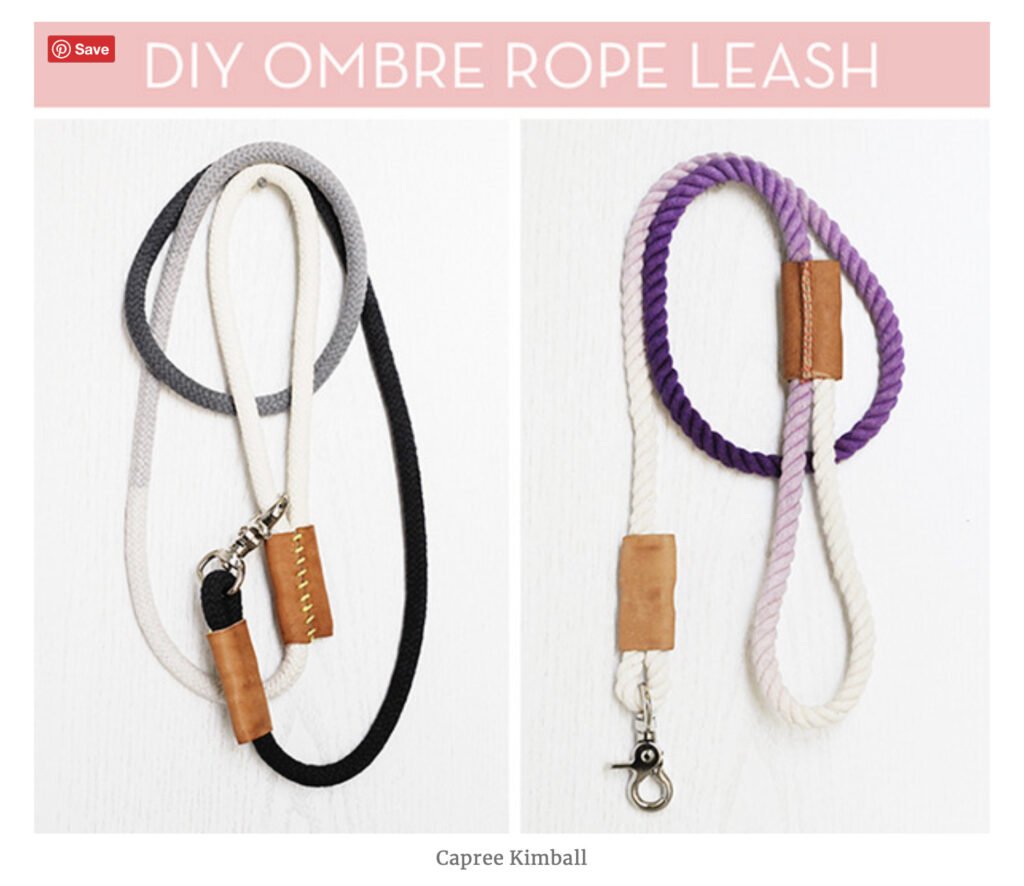easy dyed dog leashes are displayed for DIY gifts for dog parents