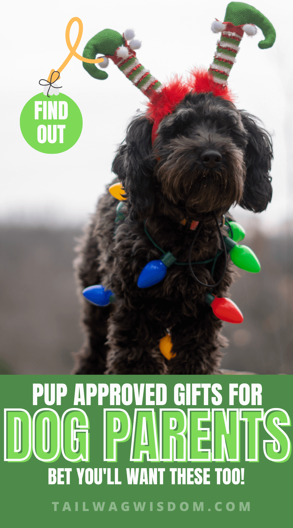 Gifts for Dog Parents Even the Dogs Will Love! Tail Wag Wisdom