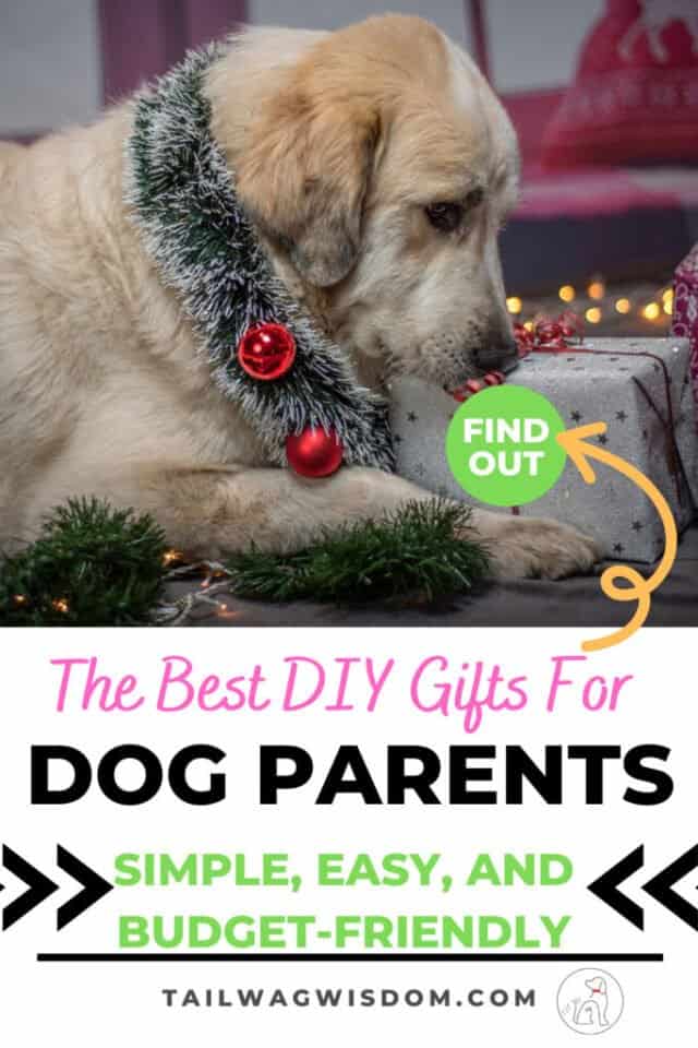 Best DIY Gifts For Dog Parents Tail Wag Wisdom