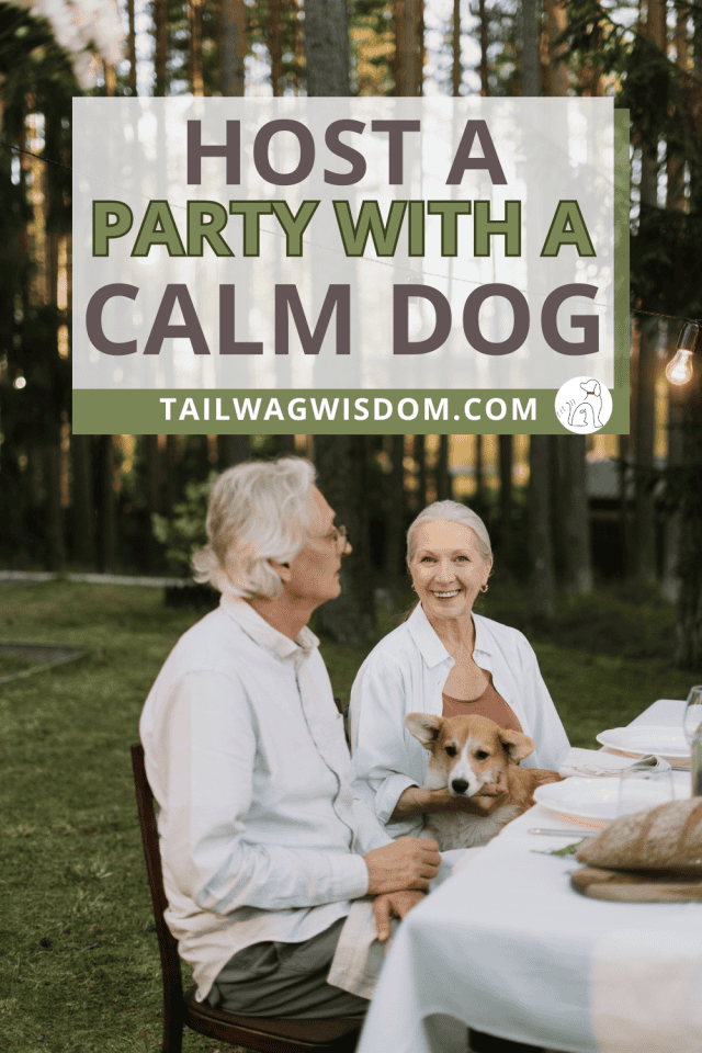 Hosting a Party With Your Dog
Are you dreaming of hosting a party with your dog, but you have a crazy dog? These fun ideas help your dog chill while you enjoy house guests, party time, and themed events. Get the best dog and people tips that actually work! Discover more great dog tips at tailwagwisdom.com