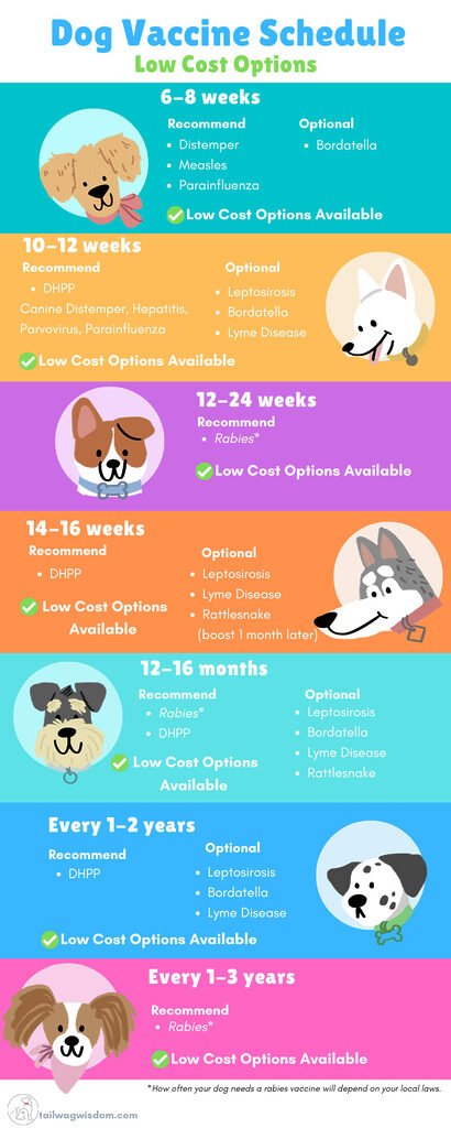 handy infographic for low cost dog vaccines availability 