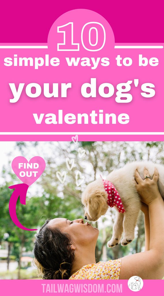 dog mom celebrates a dog happy valentines day