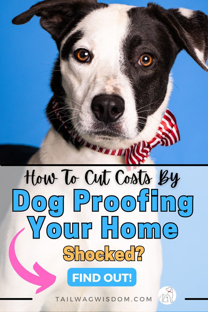 a dog learns the of why I should dog proof my home