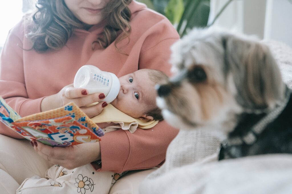 an overwhelmed new mom with a dog needs help