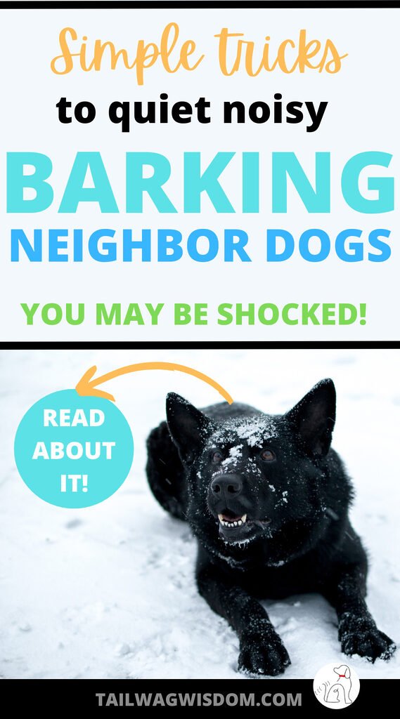 a neighbor dog barking keeps everyone alert at all hours