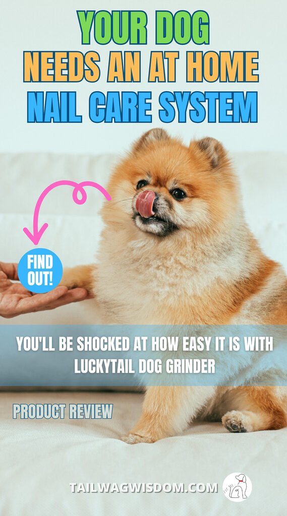 Luckytail dog nail grinder review shows that it's actually worth the purchase and easy to care for your dog