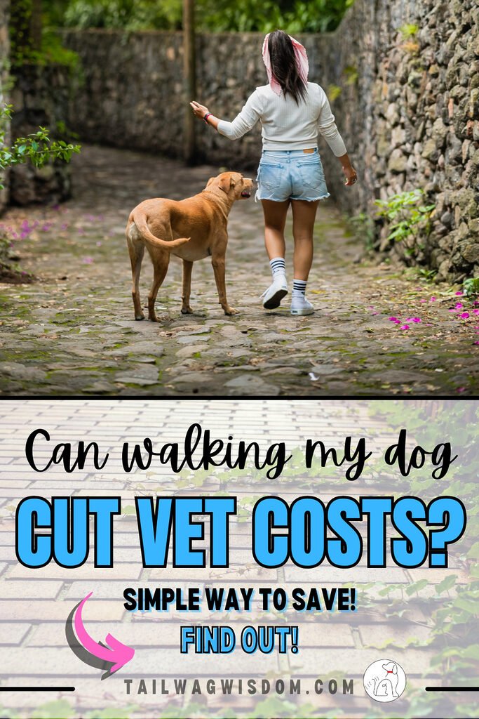 a dog mom enjoy a strolls after discovering that a dog walk cuts vet costs