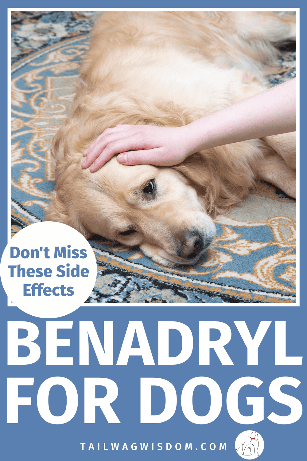 Before giving Benadryl for dogs, learn the possible side effects and warning signs. Get trusted dog health tips, practical dog care tips, and important pet care advice every dog mom should know. Learn more dog care tips at tailwagwisdom.com