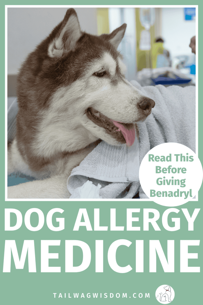 Wondering if Benadryl for dogs is the right choice? Discover when it may help, what side effects to watch for, and essential dog health tips, dog remedies, and pet health guidance. For more dog care tips, visit tailwagwisdom.com