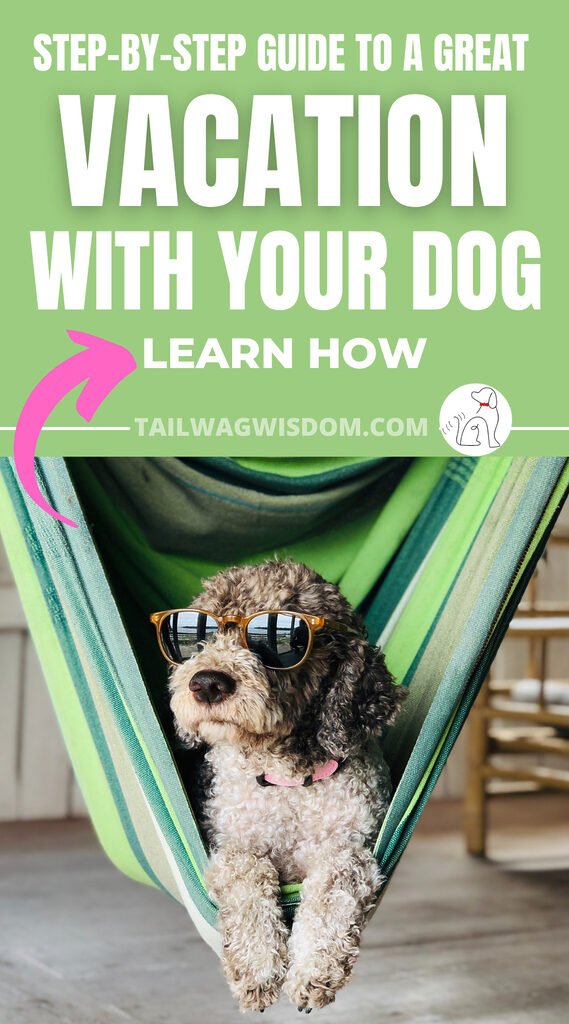 a cute dog relax in a hammock on a dog friendly vacation
