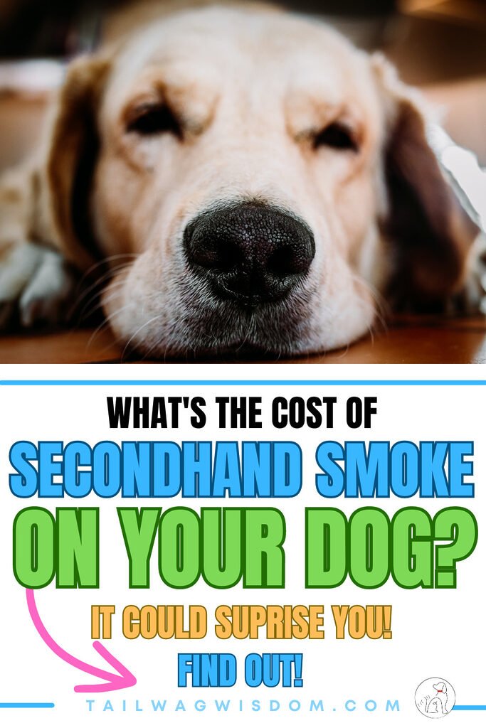 a cute dog feels the secondhand smoke for dogs and is lethargic