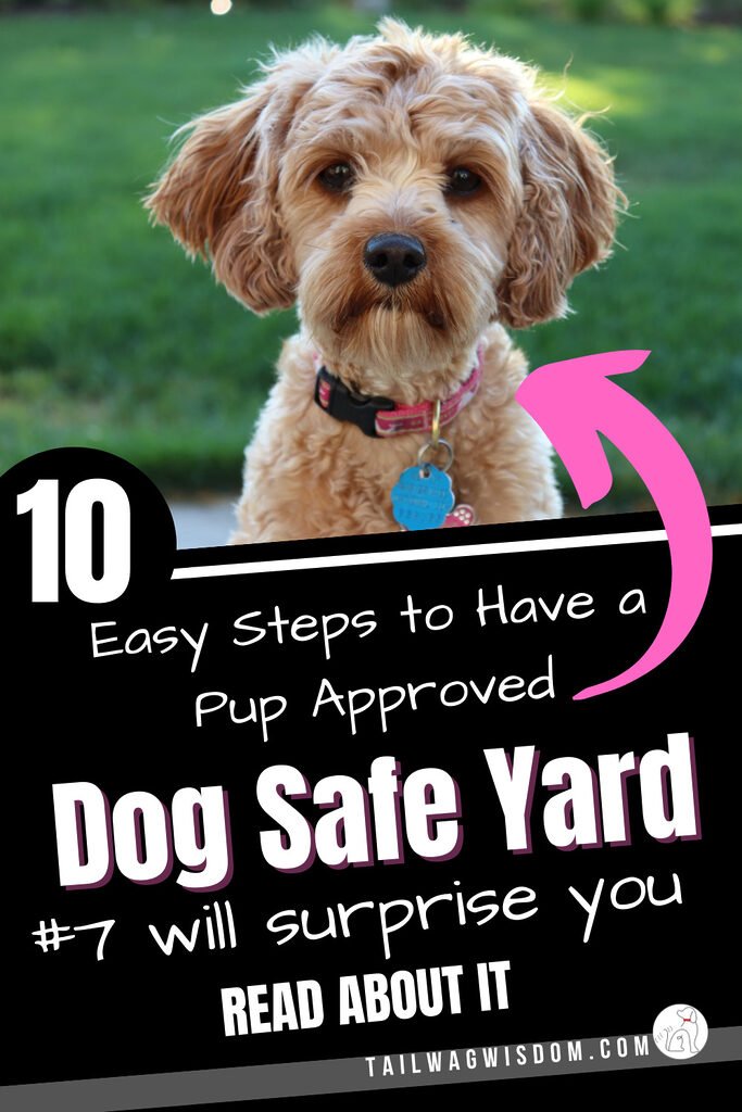 a cute dog is happy with his safe dog yard